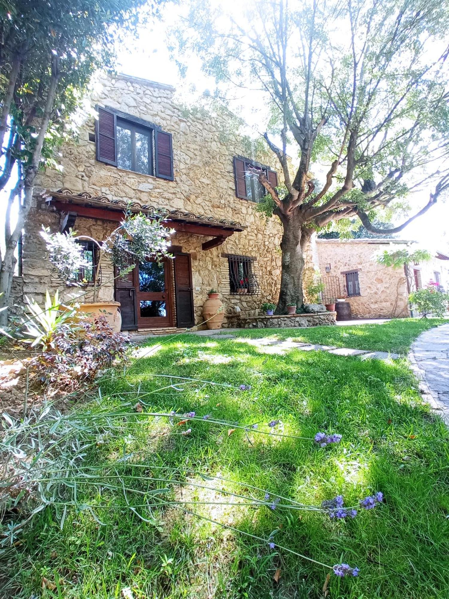 All'Ombra Di San Damiano Assisi Exterior photo