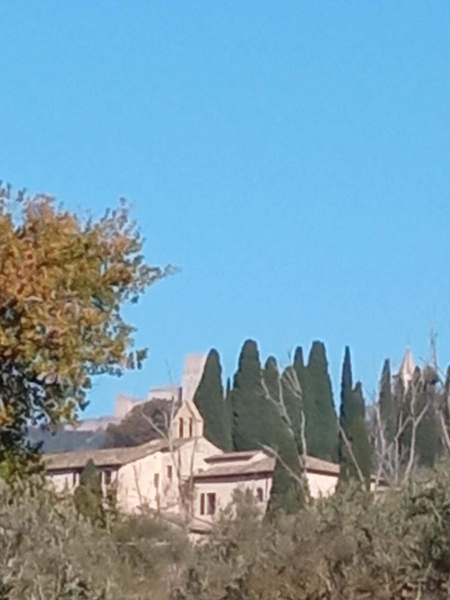All'Ombra Di San Damiano Assisi Exterior photo